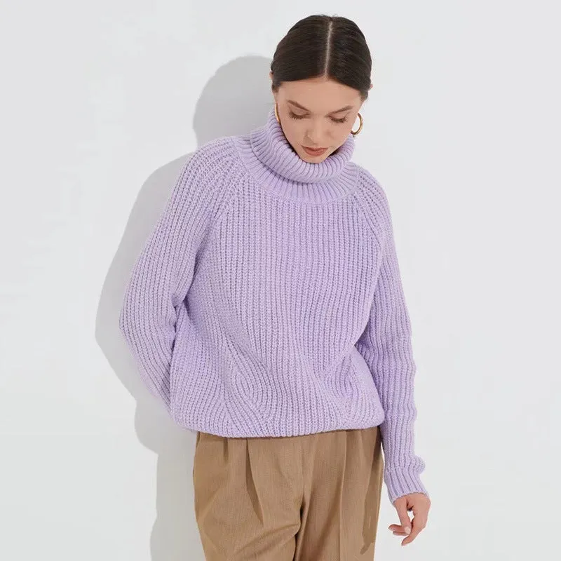 Simple Turtleneck Long Sleeve Sweater