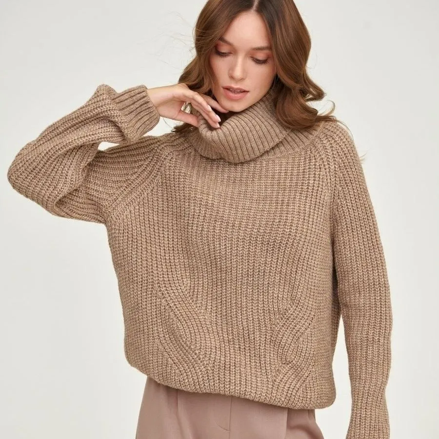 Simple Turtleneck Long Sleeve Sweater